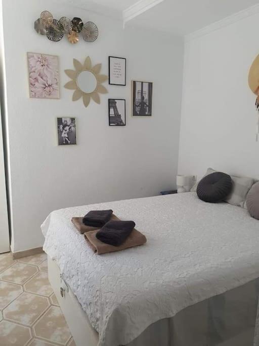 Costa Blanca Family Apartments One Bedroom Apartment Τορεβιέχα Εξωτερικό φωτογραφία
